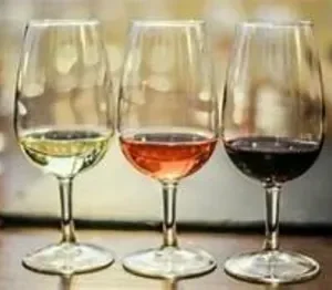 Copa Técnica De Degustación Afnor X 12 Unidades: imagen 2